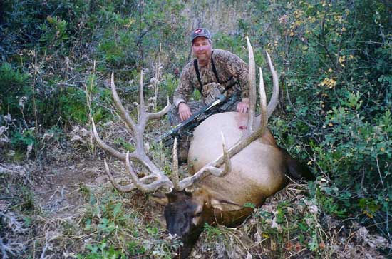 Utah 2003 Bull