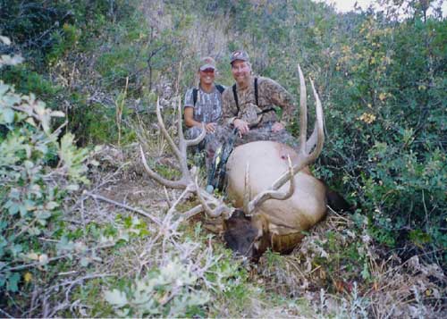 Roy&#039;s Utah Bull from 2003 scored 380, also taken with a bow.