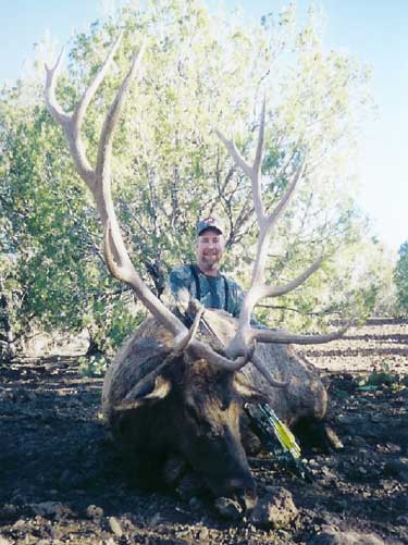 Roy Hampton from Lehi, UT took this 331 bull in Arizona in 2003 with his P.S.E. Bow.