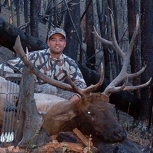 Idaho Archery Elk, Cory Glauner.  See our &amp;quot;Stories&amp;quot; section for more info.