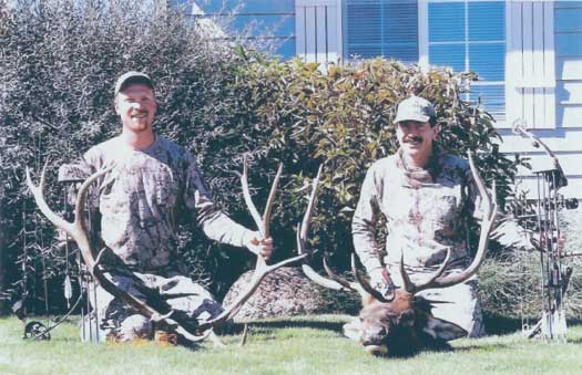 2 Bulls 5x5 taken by Michael Fox- 6x5 taken by Brian Shepherd called in by Michael Fox 2003 in Central Oregon (Archery) Bulls we