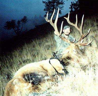 This 7x7 bull scores around 340 B&amp;amp;C , I shot it in his bed at 218 yards with a Remington .300 ultra mag.† The bull came out