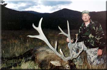 Douglas Wesley harvested this New Mexico Elk with a muzzleloader on the Valle Vidal.  Grosses 287.