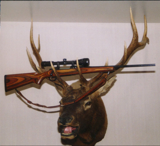 Craigs 1st bull taken at age 16.