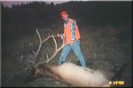 Marvin harvested this beauty in Southern, UT in 2000.  See our &amp;quot;Stories&amp;quot; page for more info.