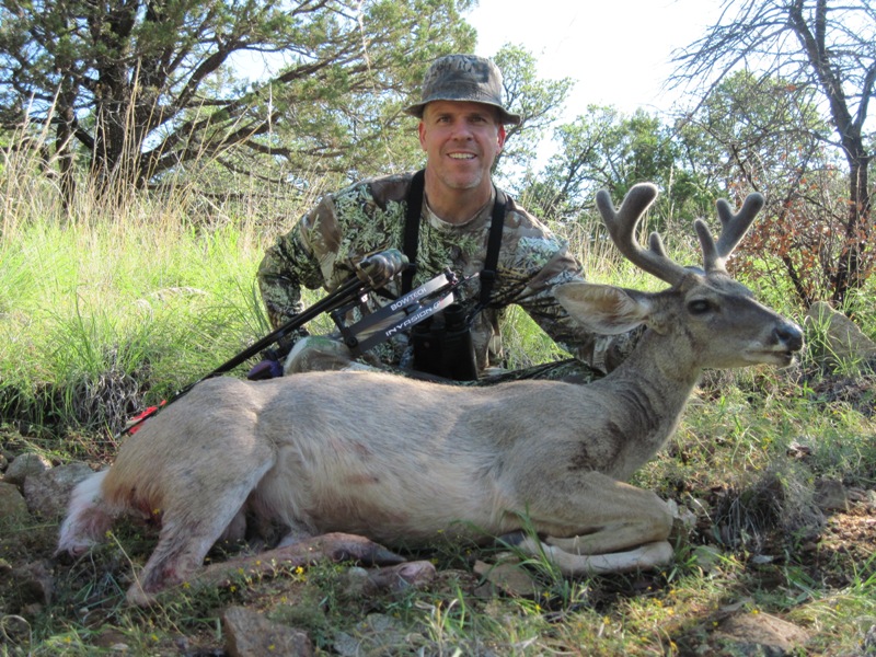 1st Coues Deer