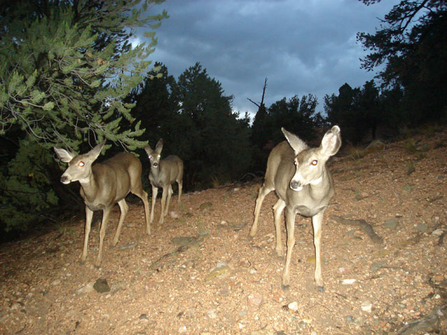 Important Biological Data Collection