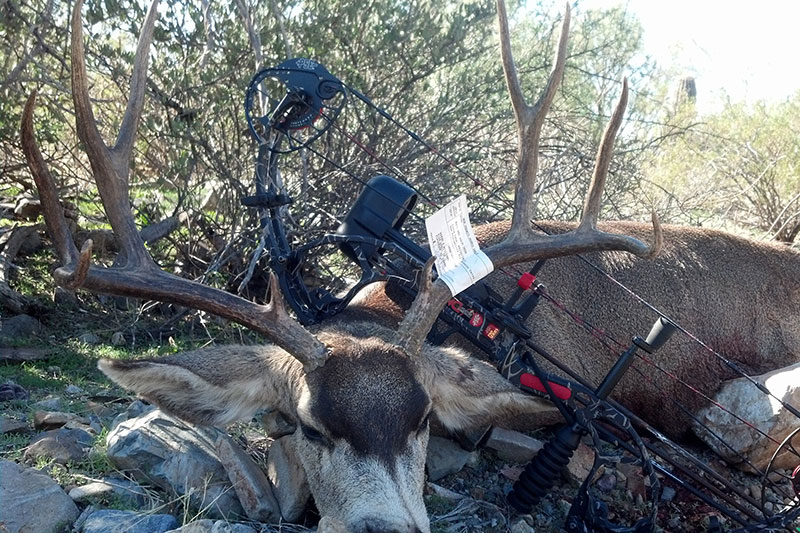 Wayne Williams - Southern AZ OTC