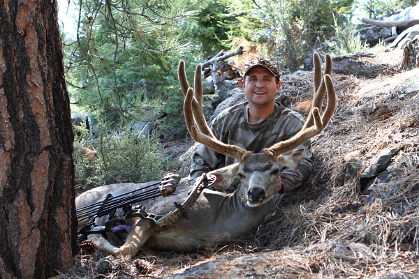 Archery Buck