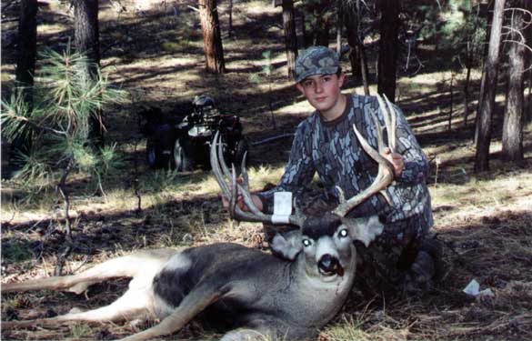 Kaibab Mule Deer