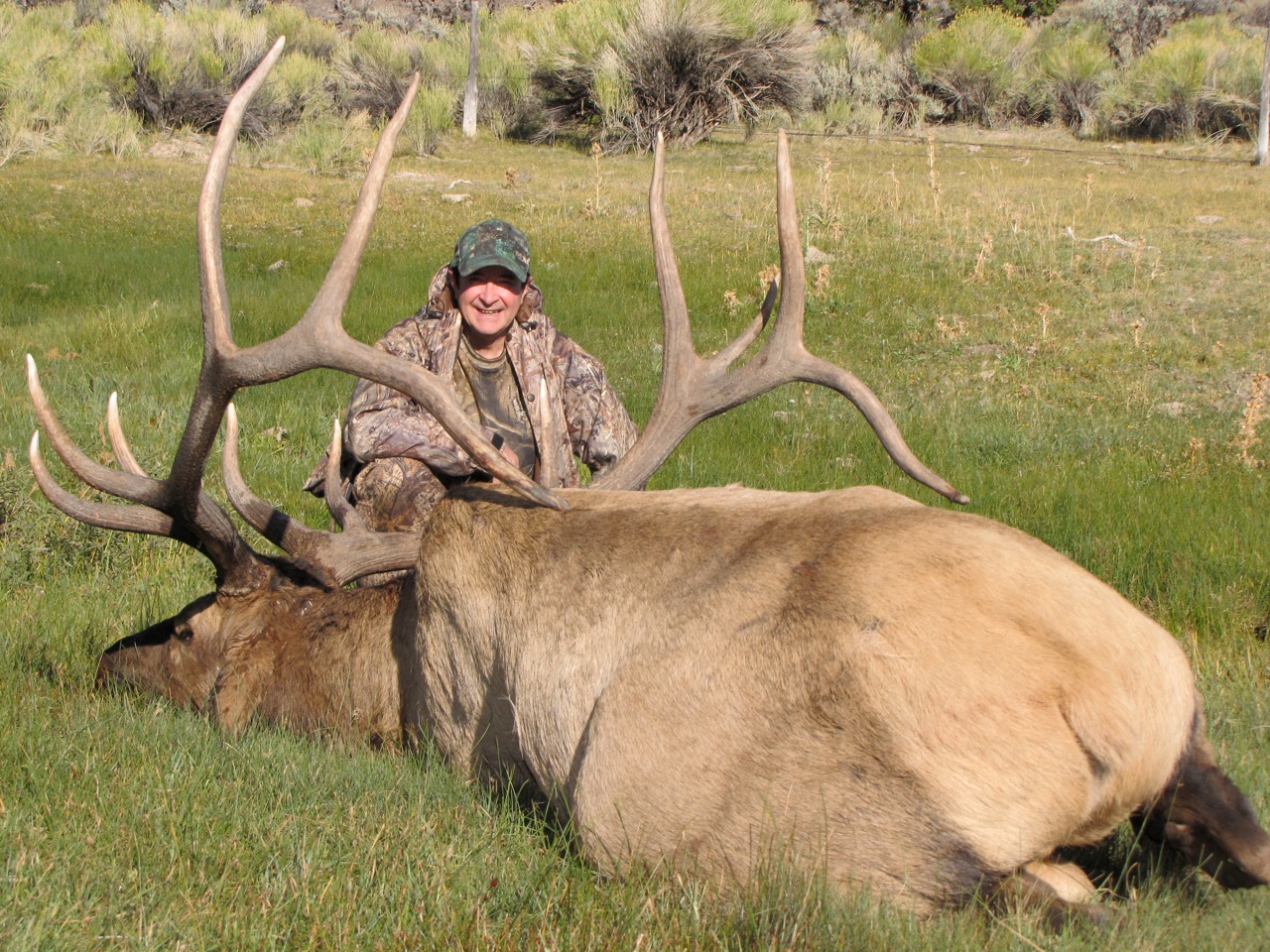 Pat Stratton - 391&quot; Utah Bull 2009