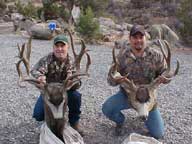 Colorado Monster Mulies