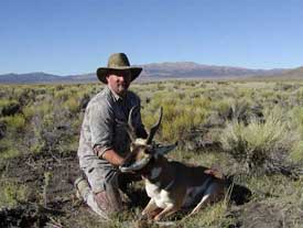 Nevada Antelope