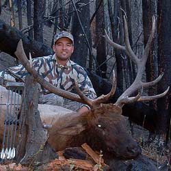 Idaho Archery Elk